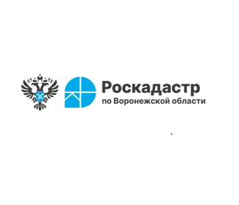 В 2025 году воронежский Роскадастр проводит комплексные кадастровые работы в отношении 184 кадастровых кварталов.