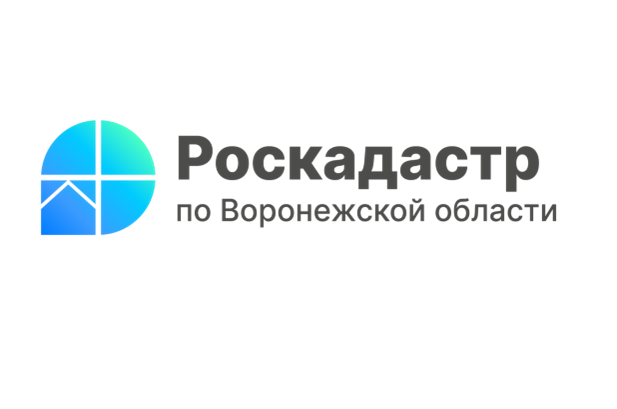В Воронеже провели первые в этом году выездные консультации в садоводческих товариществах.