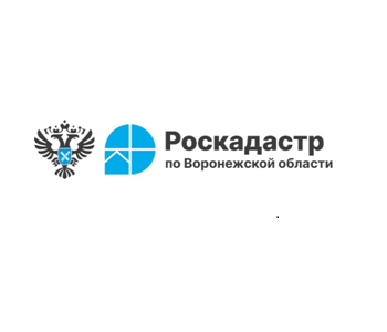 За полгода воронежцы заказали в 30 раз больше электронных выписок из ЕГРН, чем бумажных.