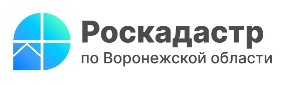 В Воронежской области оцифровано почти 92% землеустроительных документов.