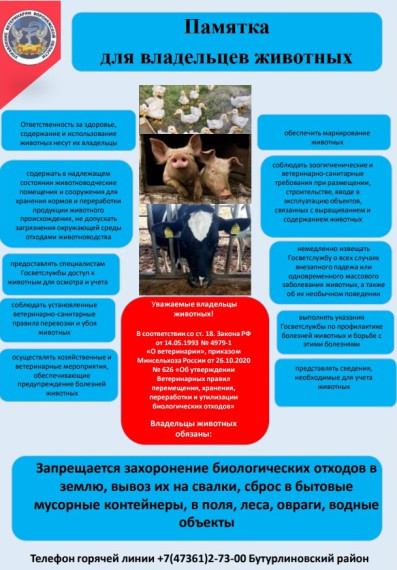 Памятка владельцам животных. Памятка владельцам животных.